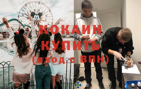 мдпв Абинск