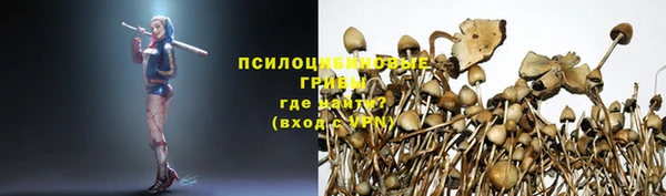 каннабис Абаза