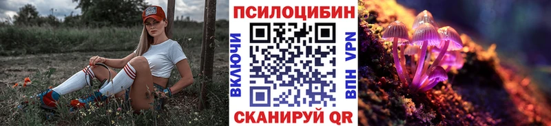 Псилоцибиновые грибы ЛСД Новоалександровск
