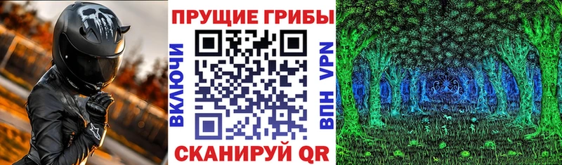 Галлюциногенные грибы прущие грибы  Новоалександровск 